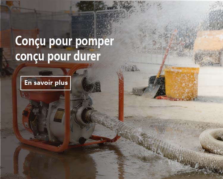 微信图片_2026-01-31_172122_096